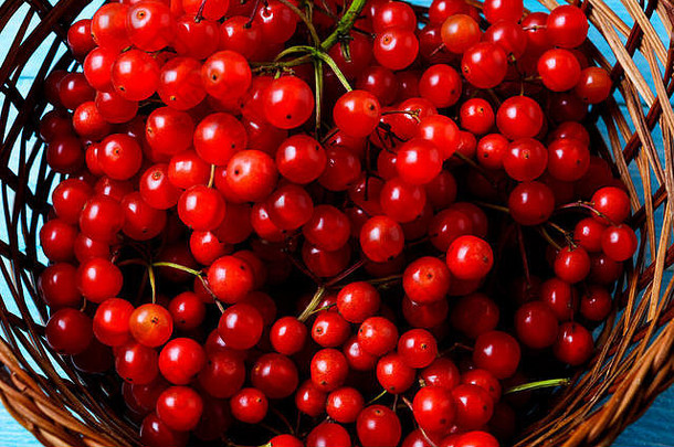 森林浆果柳条篮子前视图成熟的红色的森林浆果