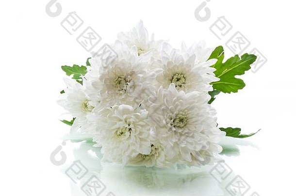 花束白色菊花孤立的白色背景