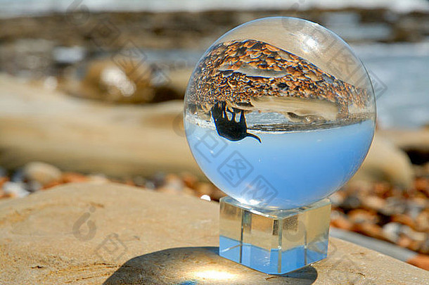 狗反映了玻璃球水晶球海滨海滩波岩石鹅卵石海天空