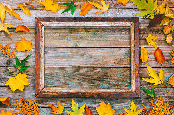 秋天作文明亮的秋天叶子图片框架木背景复制空间模拟文本祝贺你短语刻字