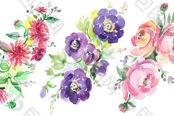花束花植物花水彩背景插图集孤立的花束插图元素