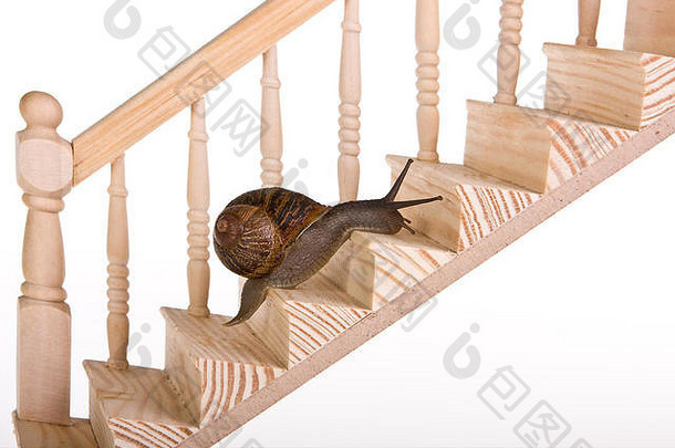 有趣<strong>的</strong>蜗牛爬木楼梯