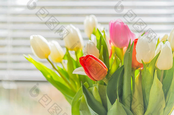 色彩斑斓的春天郁金香花花束花瓶金属窗口盲目的