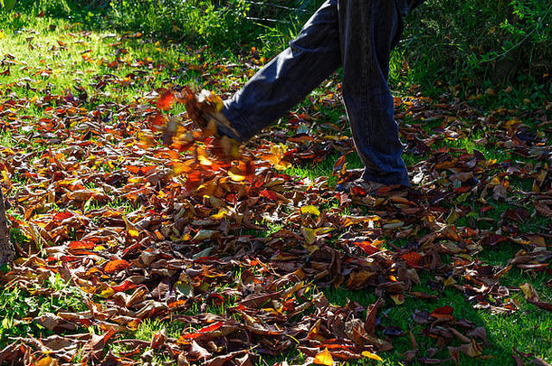 色彩鲜艳的秋天叶子踢显示运动