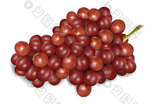 插图红色的葡萄孤立的白色背景