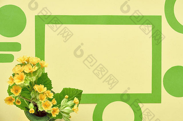 绿色纸框架装饰姜饼饼干黄色的月见草花叶子平躺黄色的纸