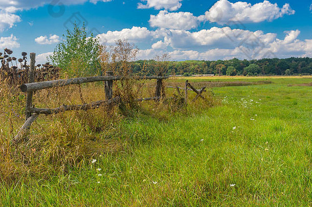 夏天景观草地农村区域波尔塔夫斯卡娅州乌克兰