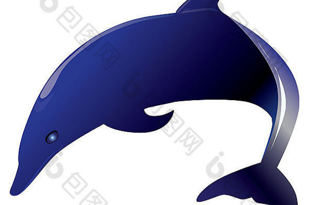 海豚插图隔离不白色背景