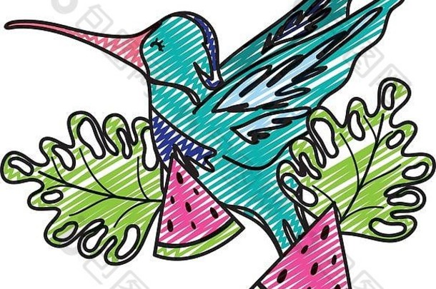 涂鸦热带植物蜂鸟西瓜水果