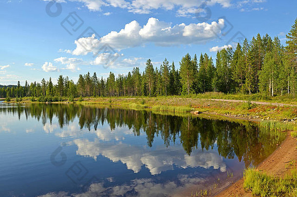 风景如画的晚上北部湖夏天景观芬兰拉普兰