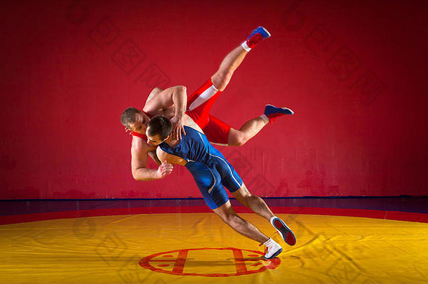 强大的但蓝色的红色的摔跤连裤袜wrestlng使后拉抱摔跤黄色的摔跤地毯健身房摔跤手