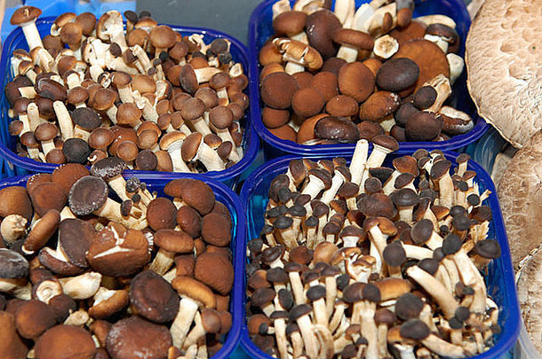 奥地利维也纳维也纳户外纳旭市场摊位美味的选择蘑菇