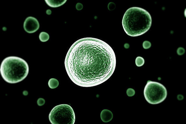 细菌细胞黑色的背景