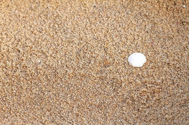 变形湿沙子背景沙子前纹理