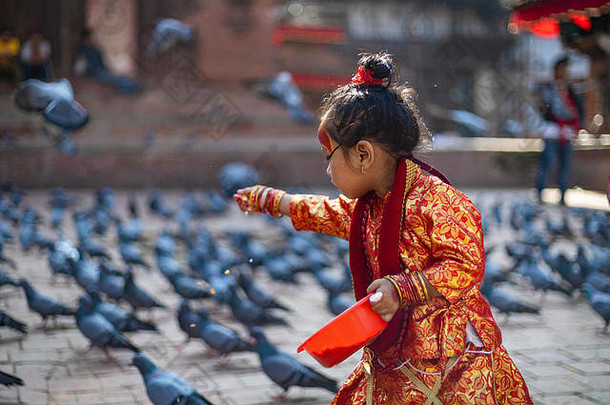 女孩穿着kumari神喂养鸽子加德满都正式接见广场indrajatra节日