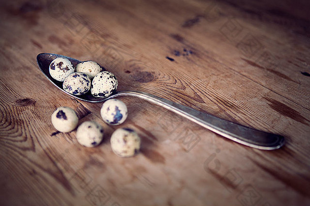 银勺子鹌鹑鸡蛋木表格