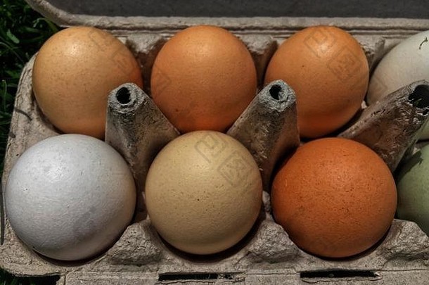色彩斑斓的各种农场新鲜的鸡蛋收获早....清洗重打包出售