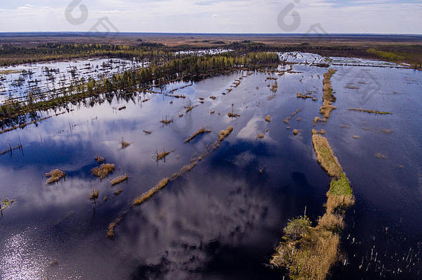 无人机图像空中视图农村区域沼泽湖泊蓝色的水