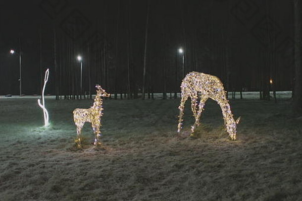 圣诞节照明鹿家庭晚上