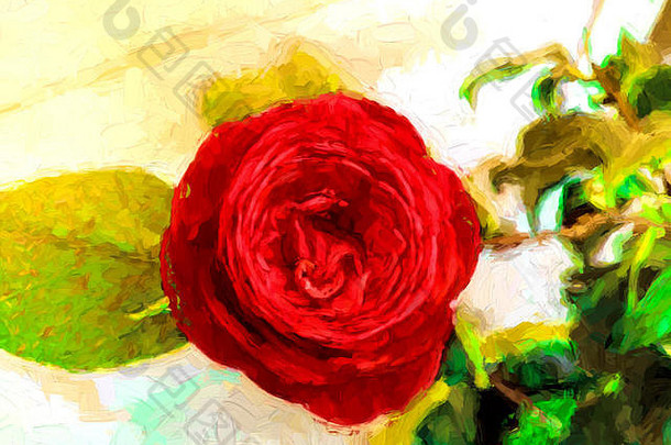 数字绘画红色的玫瑰叶子