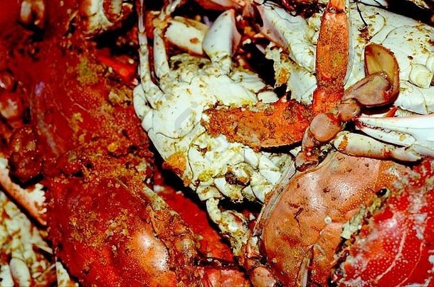 海盛宴红色的螃蟹服务热马里兰海鲜节日