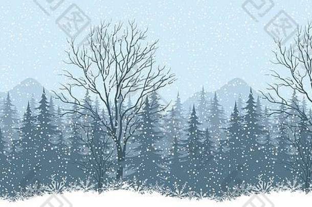无缝的冬天景观冷杉树