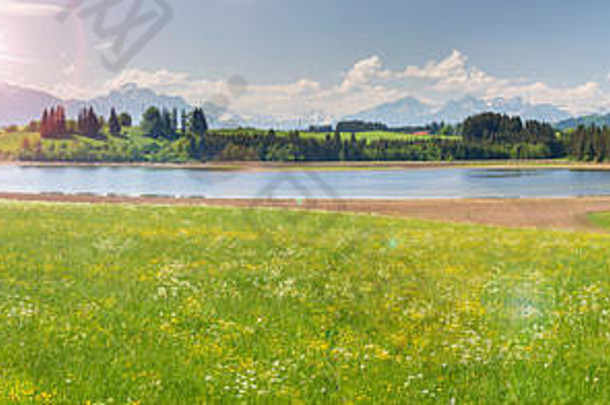全景场景湖福根湖阿尔卑斯山脉山范围巴伐利亚