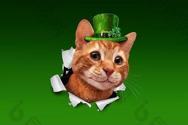 圣帕特里克一天爱尔兰假期猫穿绿色小妖精他白花酢浆草三叶草破裂纸插图元素