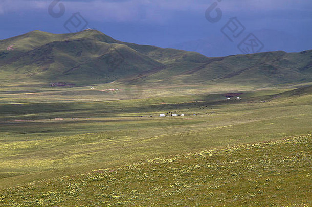 帐篷游牧民族的营地点草原青藏高原
