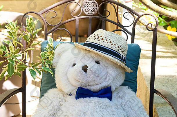 泰迪熊穿太阳他偷懒的椅子花园显示慢放松微笑满足平静
