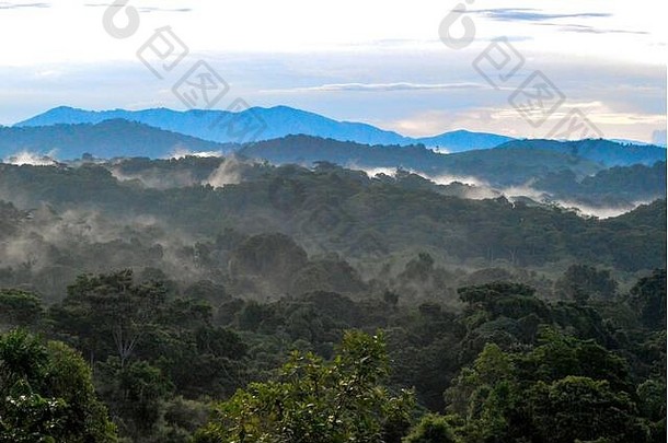 雾上升布温迪令人费解的热带雨林重降雨卡农古区西方乌干达