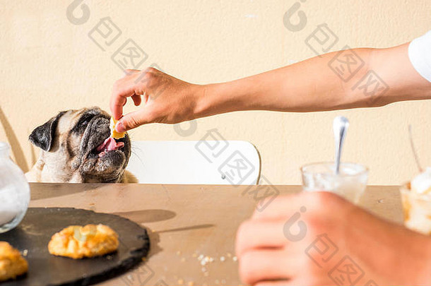 夏天场景一点点埃普格吃一块饼干老板手坐着表格人类