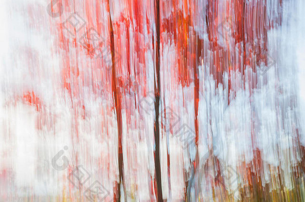 摘要景观红色的秋天树湖海岸秋天图像生产相机运动
