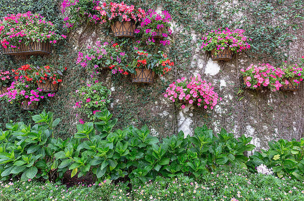 墙装饰花类型花锅
