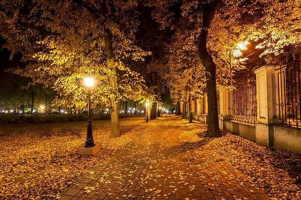 城市晚上公园秋天路径散落下降黄色的叶子树景观