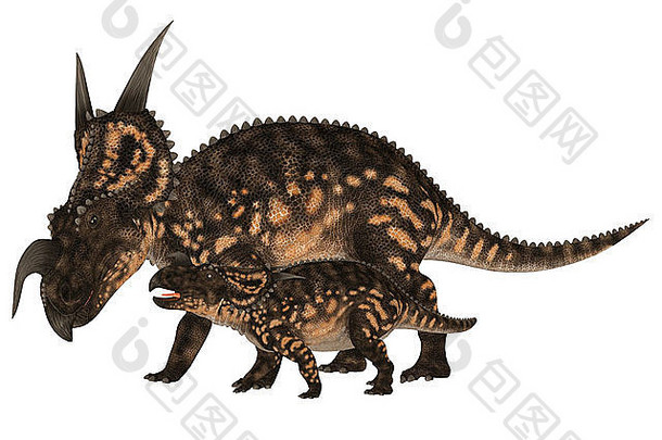 插图成人年轻的einiosaurus恐龙物种孤立的白色背景