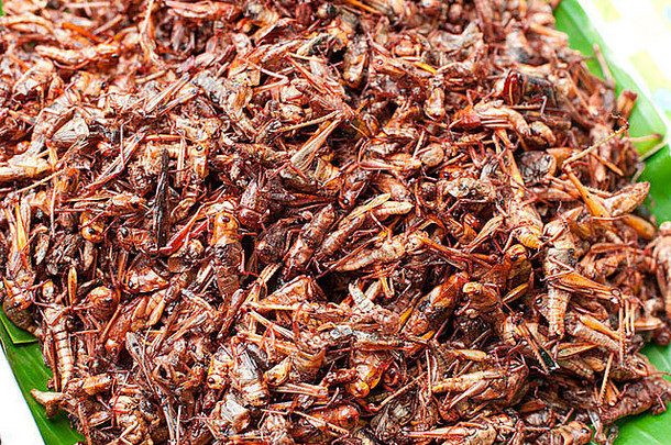 泰国食物市场炸昆虫蚱蜢零食