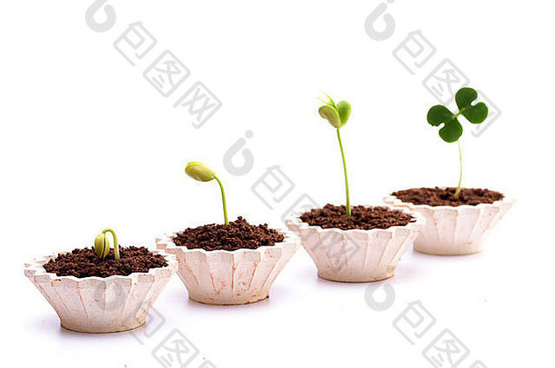 植物growth-new生活