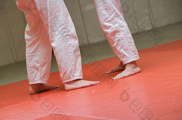 奥<strong>运会</strong>伦敦空手道脚武术艺术英国赢得席软地板上柔道