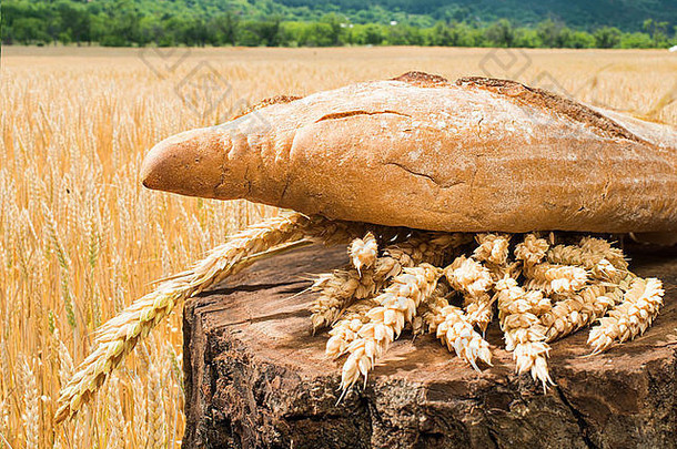 面包<strong>小麦</strong>麦片作物麦片作物背景