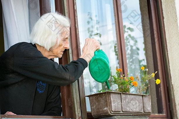 高级女人浇水花房子窗口
