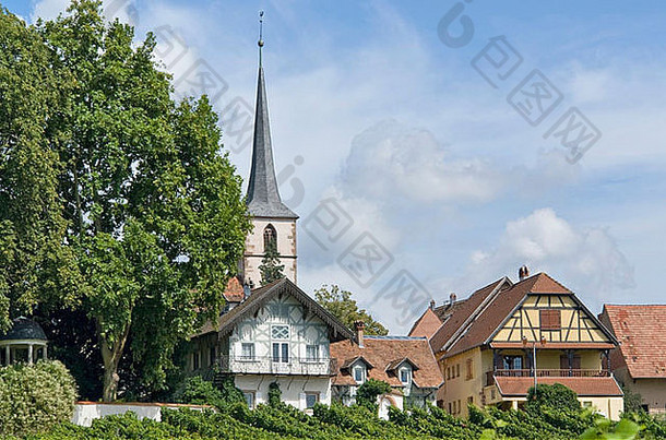 田园细节mittelbergheim村地区法国命名阿尔萨斯