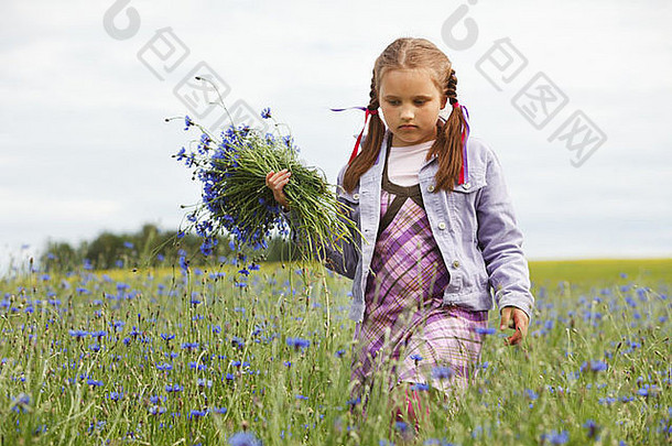 女孩挑选蓝色的花场