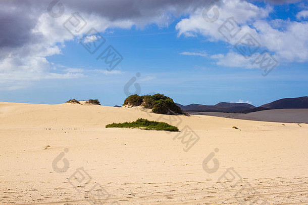 明亮的沙子天空大西洋海洋背景撒哈拉沙漠沙丘美干旱背景