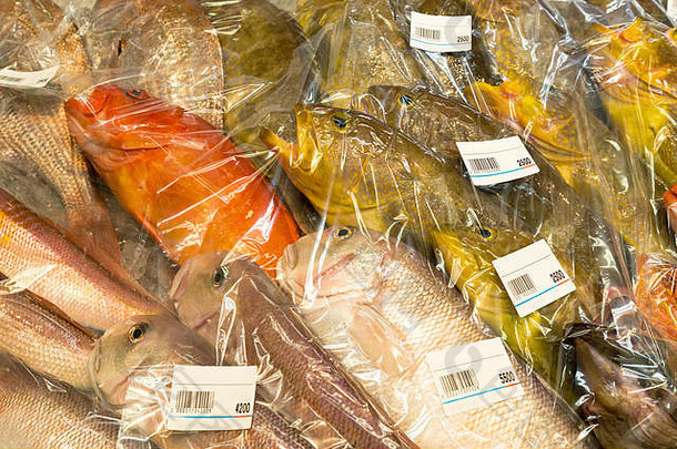 新鲜的鱼塑料袋准备好了出售鱼市场