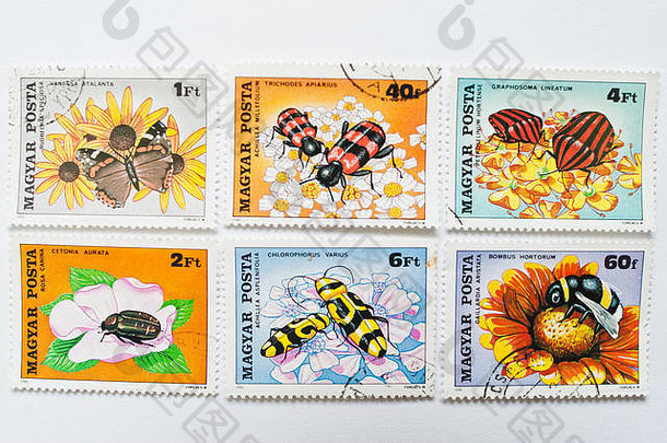 乌日哥罗德乌克兰约集合邮资邮票印刷匈牙利显示类型昆虫beetl