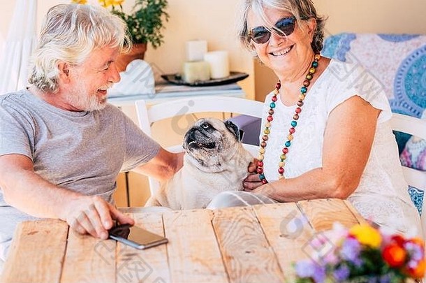 快乐高加索人高级夫妇有趣的可爱的哈巴狗狗坐椅子户外有趣的休闲活动快乐的成熟的退休