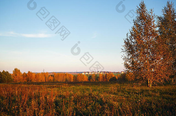 风景如画的秋天景观树灌木场空间文本