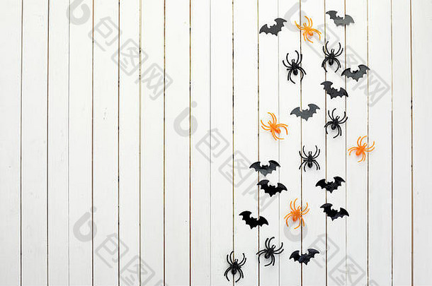 万圣节装饰可怕的概念黑色的纸蝙蝠蜘蛛白色木背景