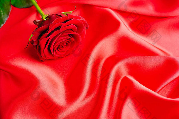 红色的玫瑰红色的缎背景